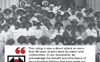 Advancing our Southern Vision for Liberation