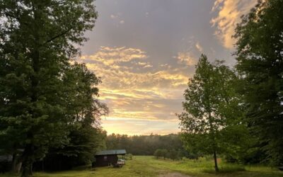 Announcing: Free Movement Retreat Space for SVA Partners