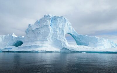 Rapid Response & Icebergs